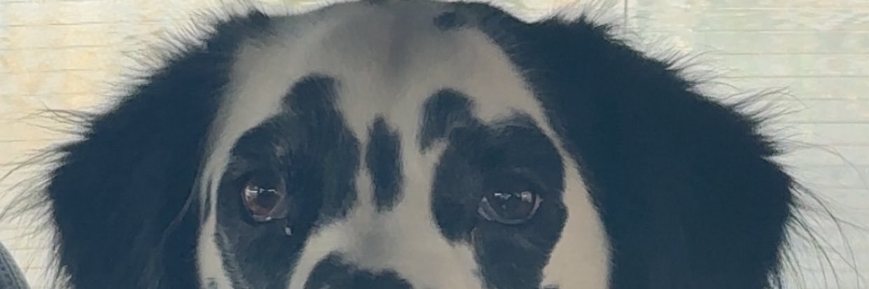 iRaeee_GoHard's profile banner image