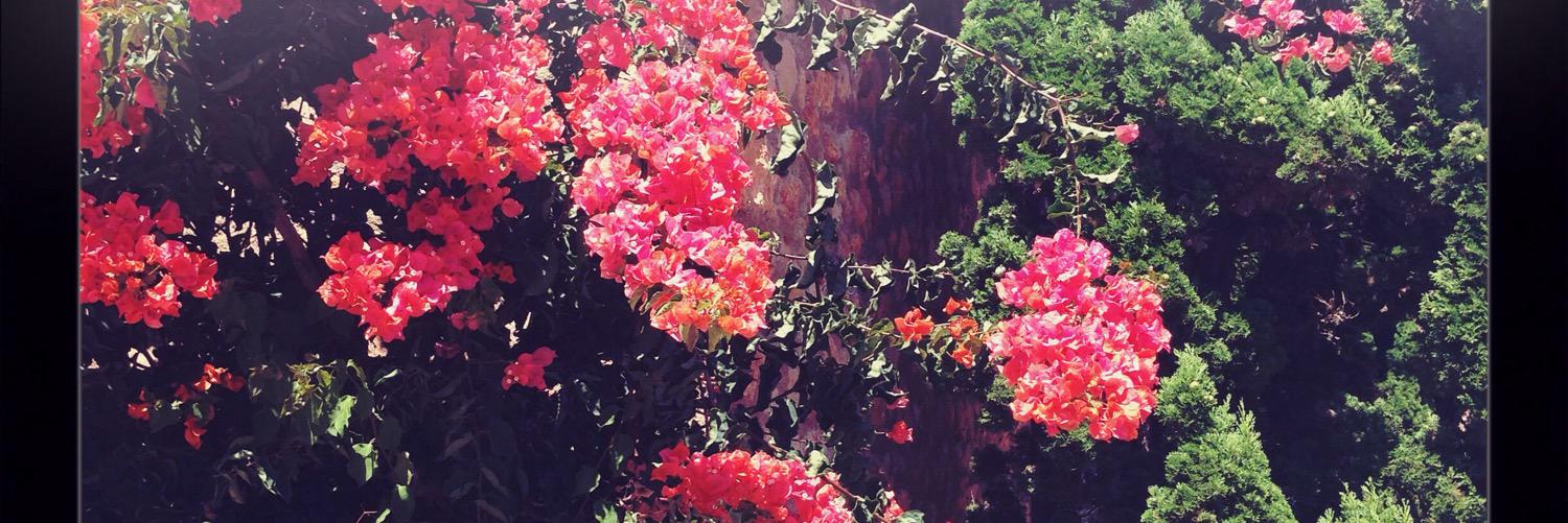 ms_mhume's profile banner image