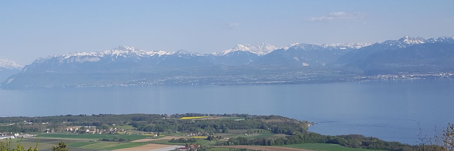 AudeLerner's profile banner image