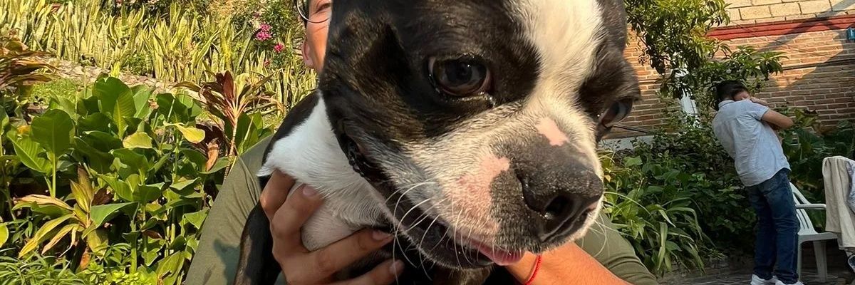 buenofull789's profile banner image