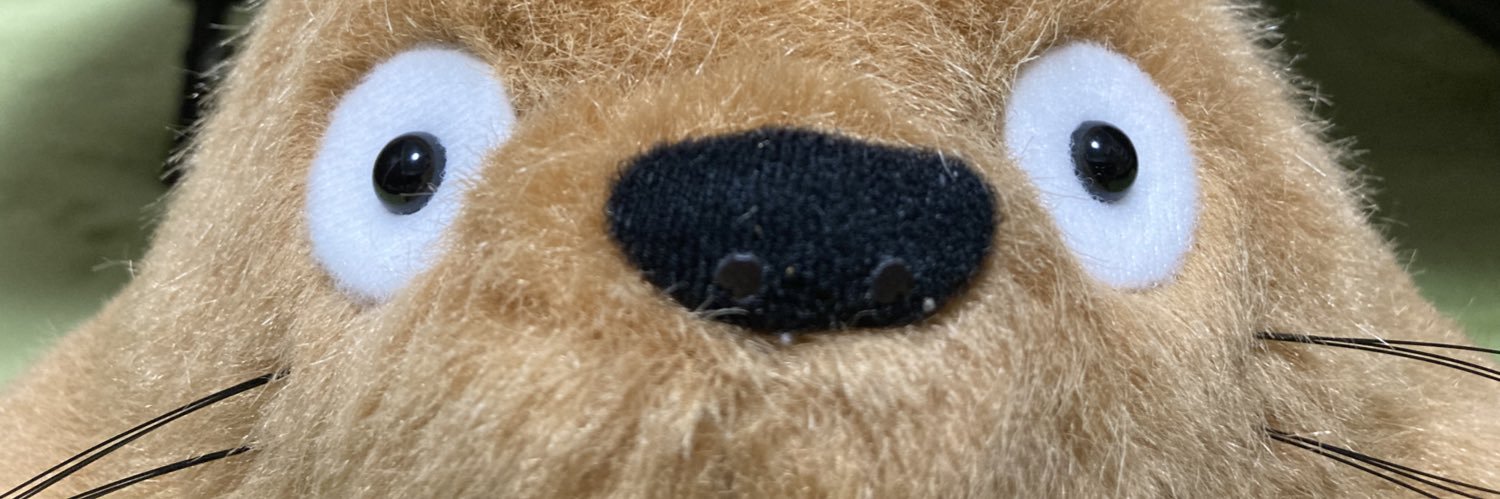 kinoco_35's profile banner image