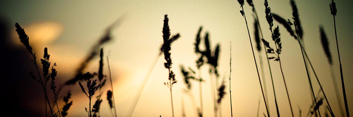 andreeapps's profile banner image