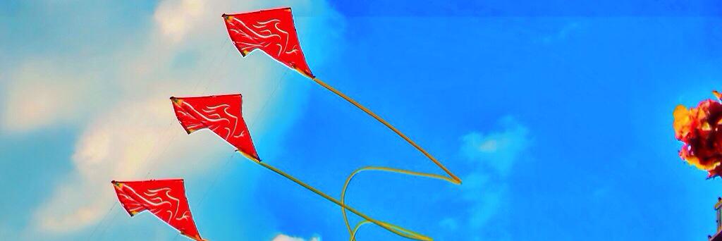 snmns2's profile banner image