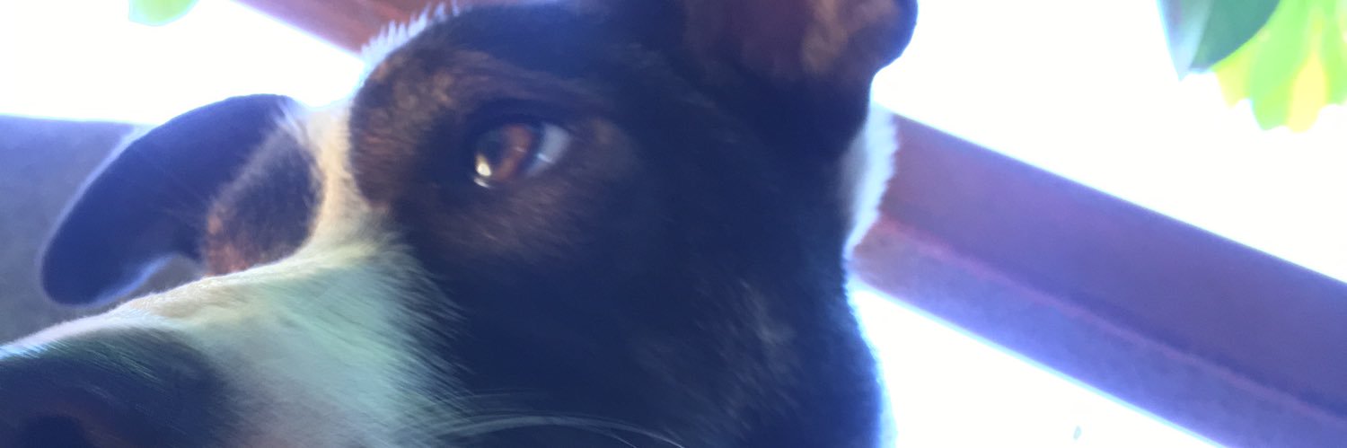 lorenm02's profile banner image