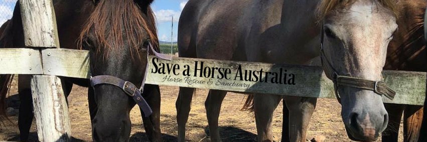 SaveAHorseAust's profile banner image