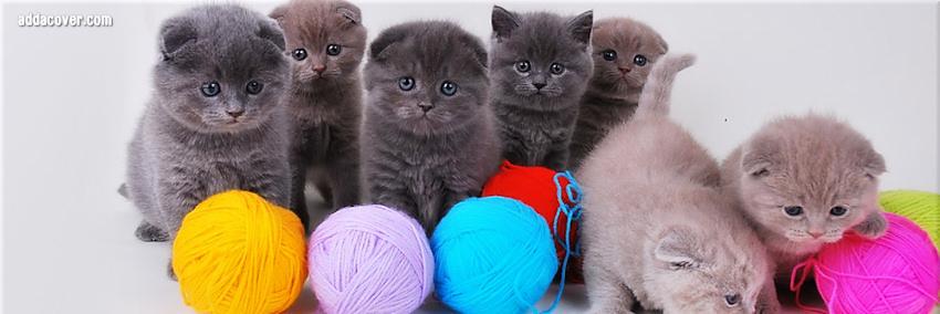 KittyCatVideo's profile banner image