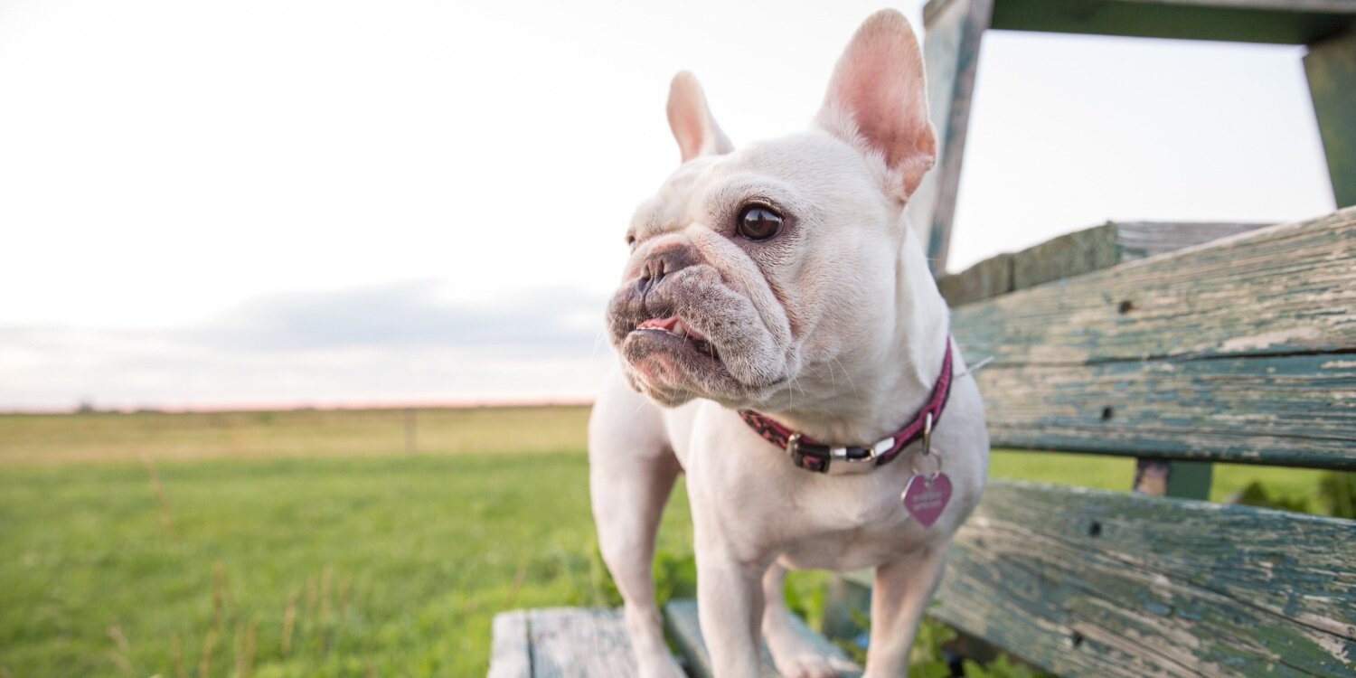 Team_Colby's profile banner image