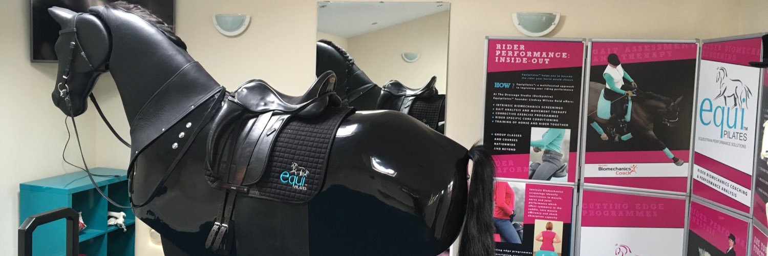 Lindsay Wilcox-Reid banner