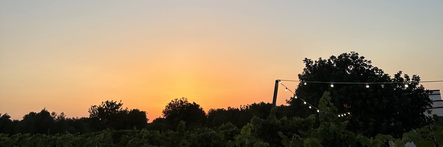 vmsr_'s profile banner image