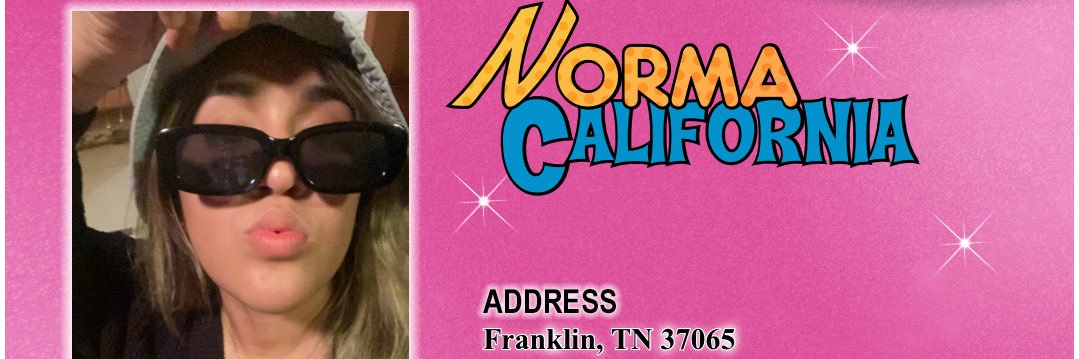 Ninaa banner