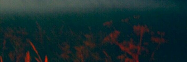A_Muse_Inspired Profile Banner