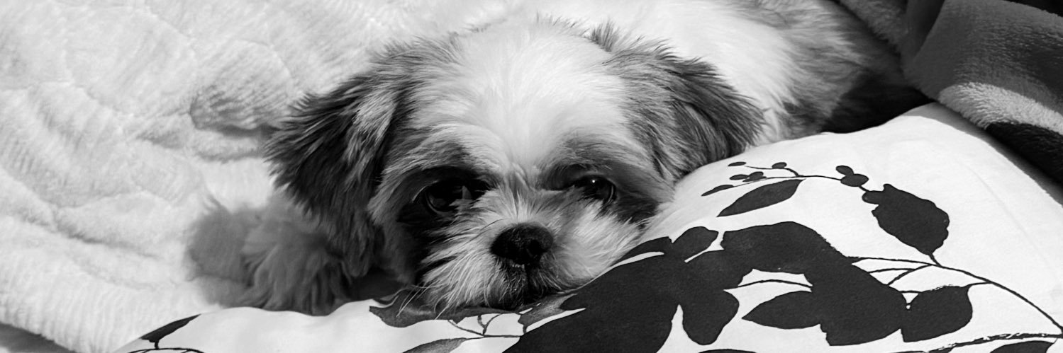 Natalyriverablg's profile banner image