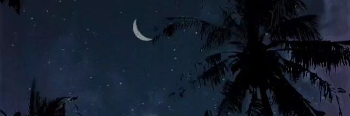 _Raa04's profile banner image