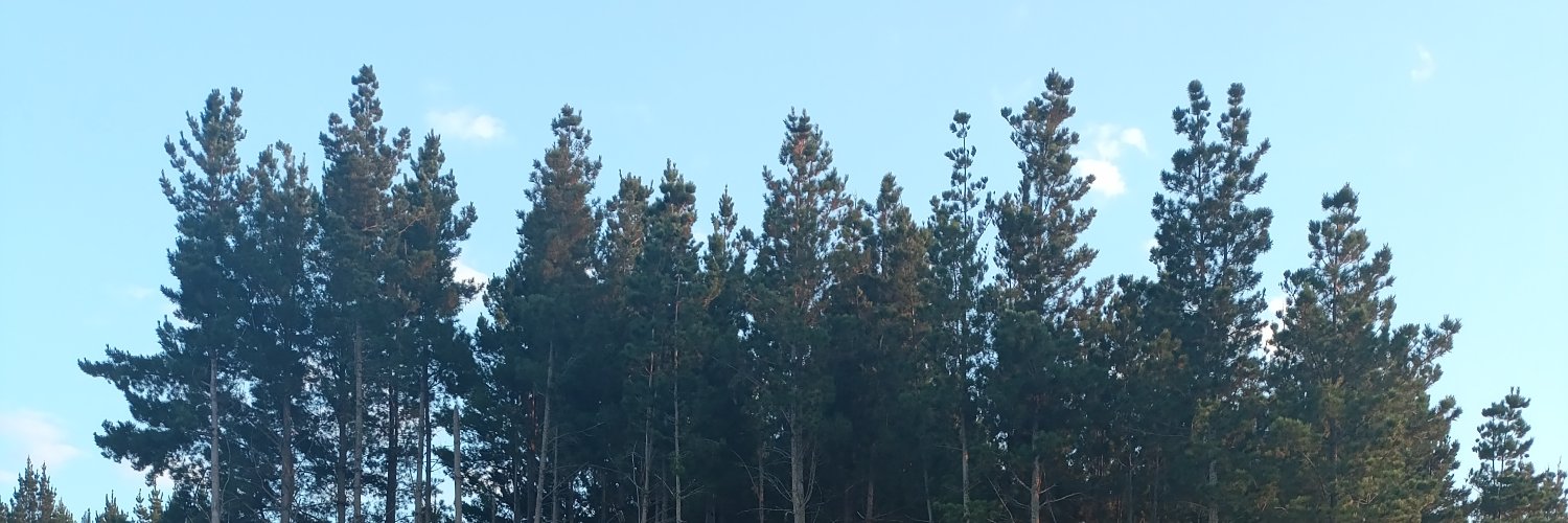 Pepotator's profile banner image