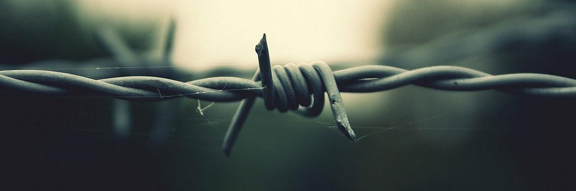 Чокса banner