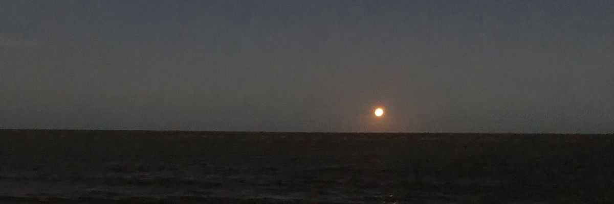 LiloPinto04's profile banner image
