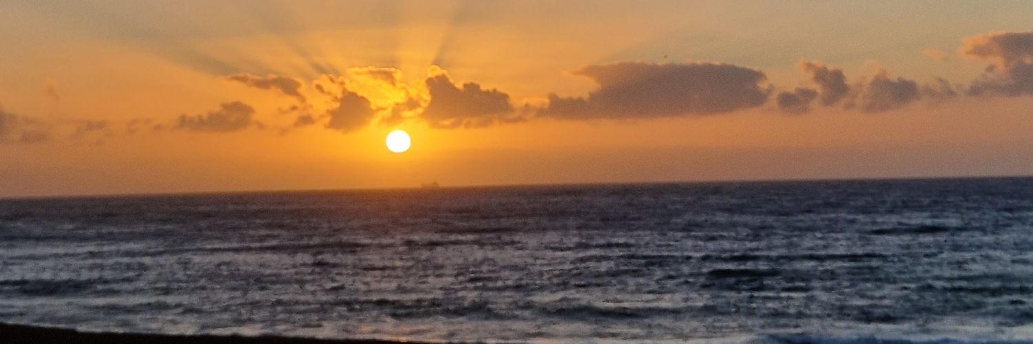 Beatriz Barrera Vera banner