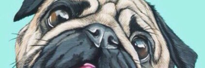 kikiyakia's profile banner image
