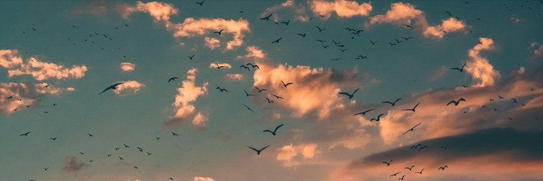Naare_C_'s profile banner image