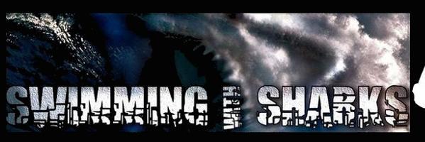 SWS_Records's profile banner image