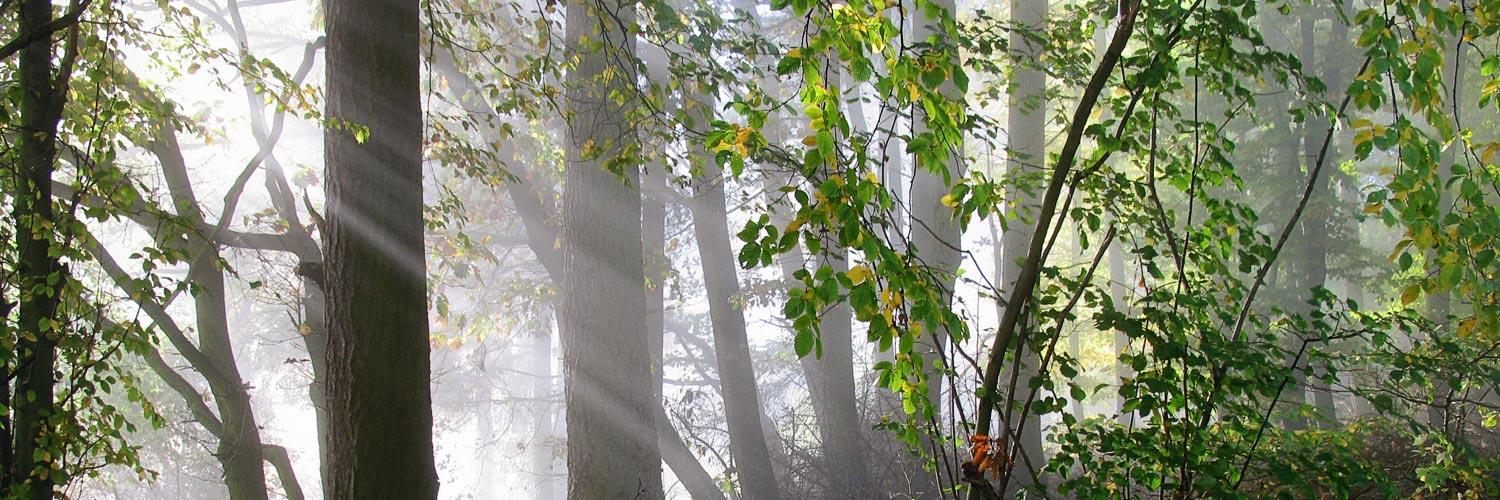 endlichgutes's profile banner image