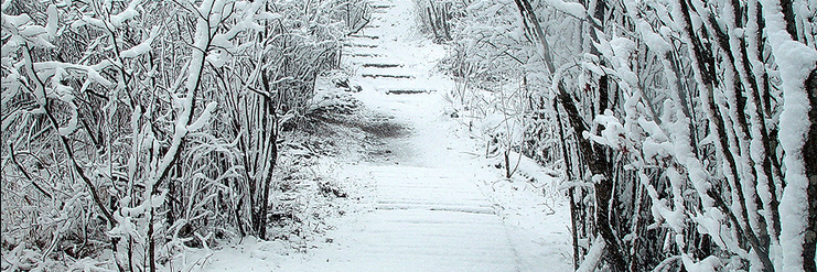 cas1456_jun's profile banner image