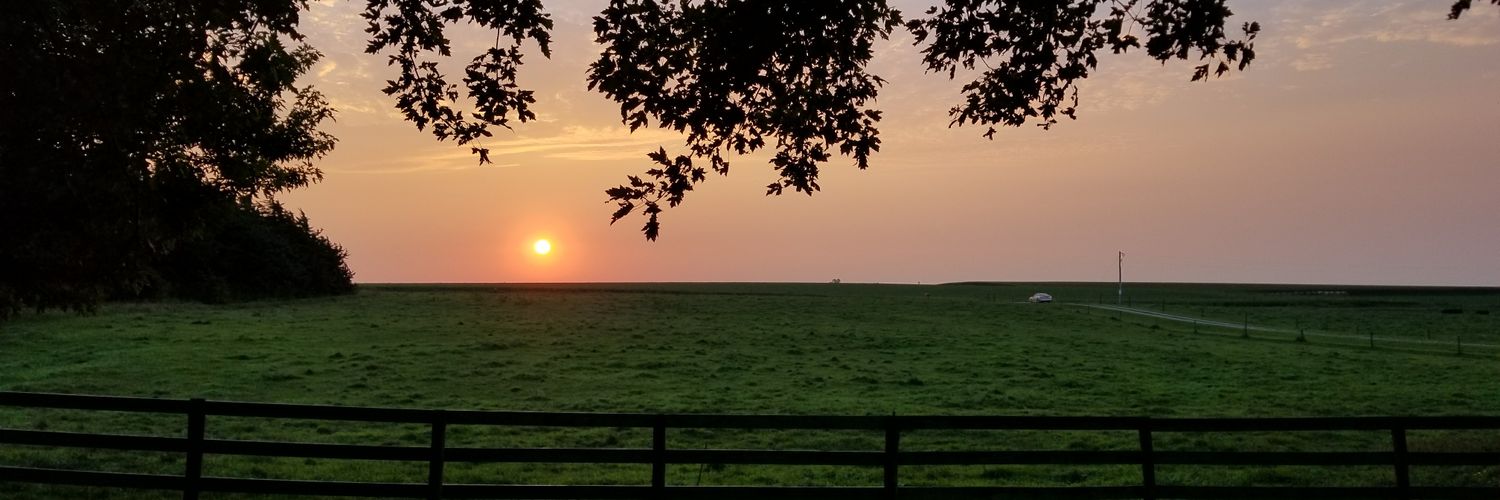 brianpatrickk's profile banner image