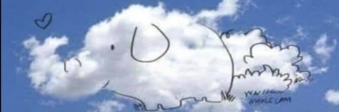 mayleth_z's profile banner image