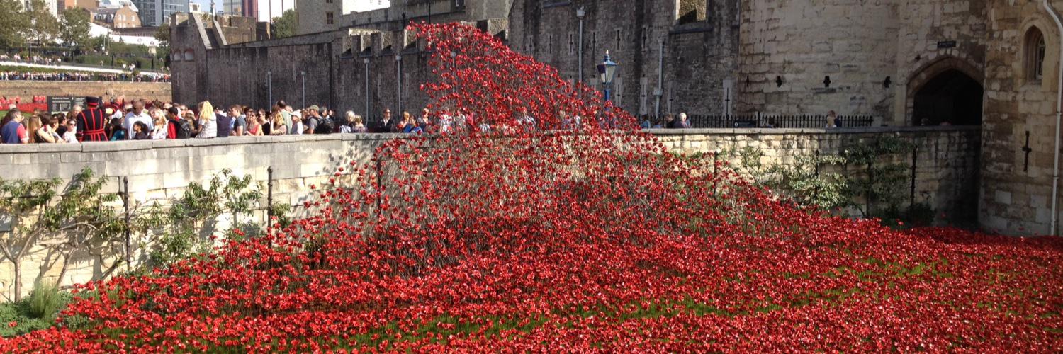 suffolkyellow's profile banner image