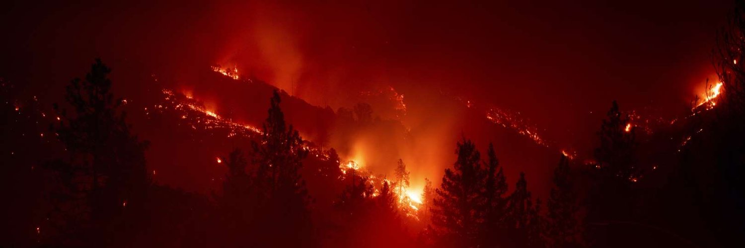 Witness to man's ruin. banner