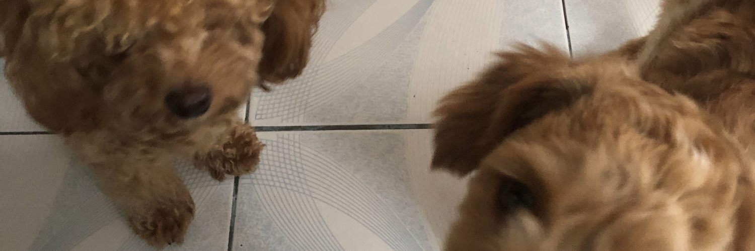 jomgueta's profile banner image