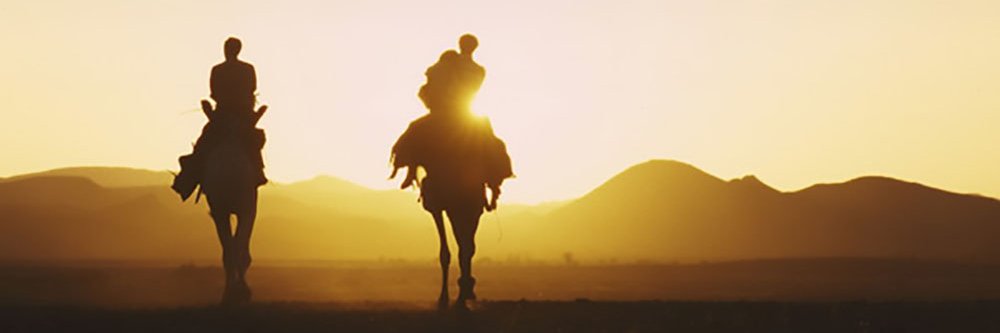 🐪 Mummia 🦂 banner