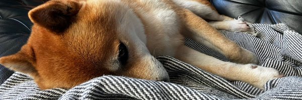 RutgerSchonis Profile Banner