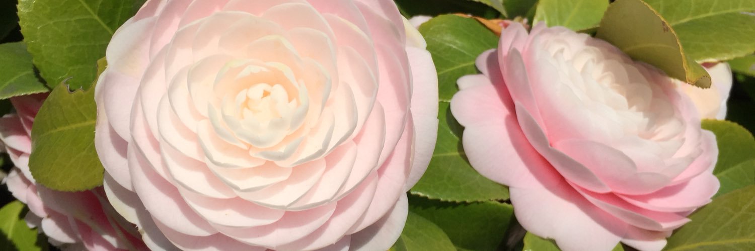 uto_etc's profile banner image