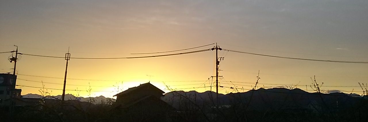 715rabbit's profile banner image