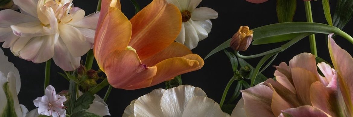 MAMFstore's profile banner image