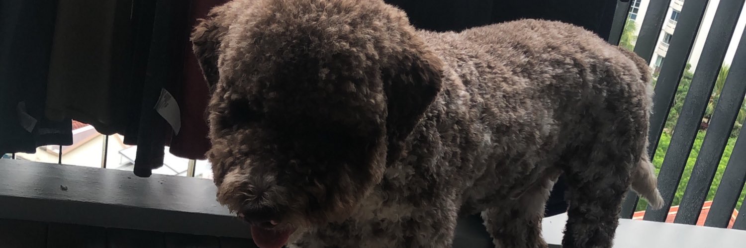 geraldwang's profile banner image