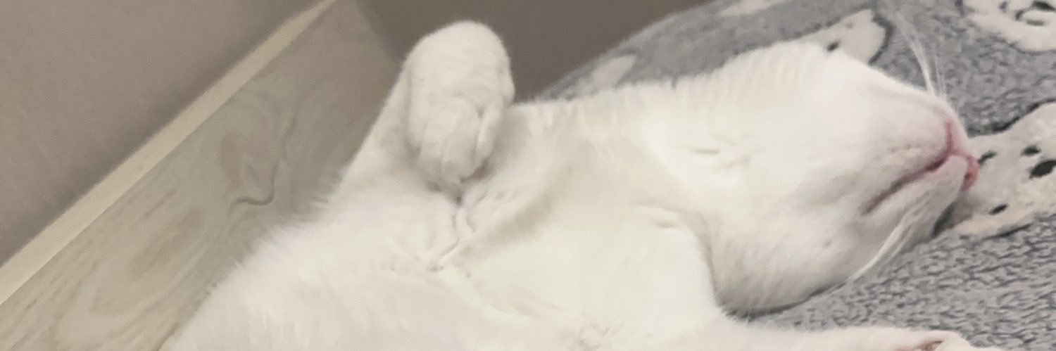 dontaskagin's profile banner image