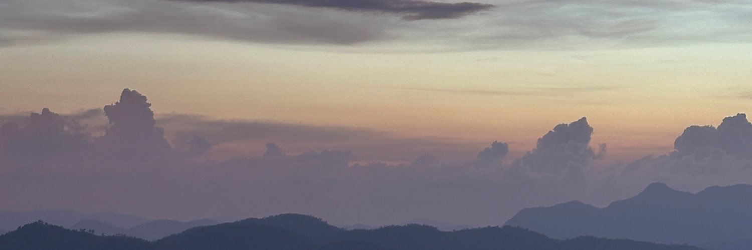CardosaSusi's profile banner image