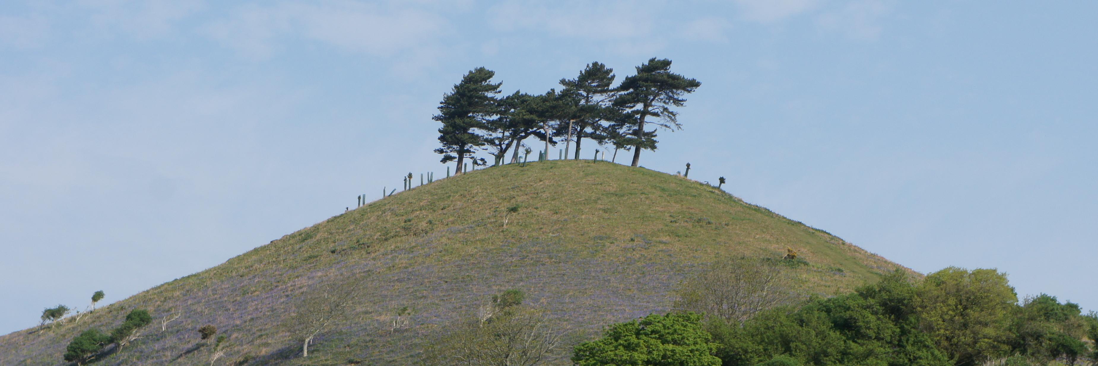 BridportPlan's profile banner image