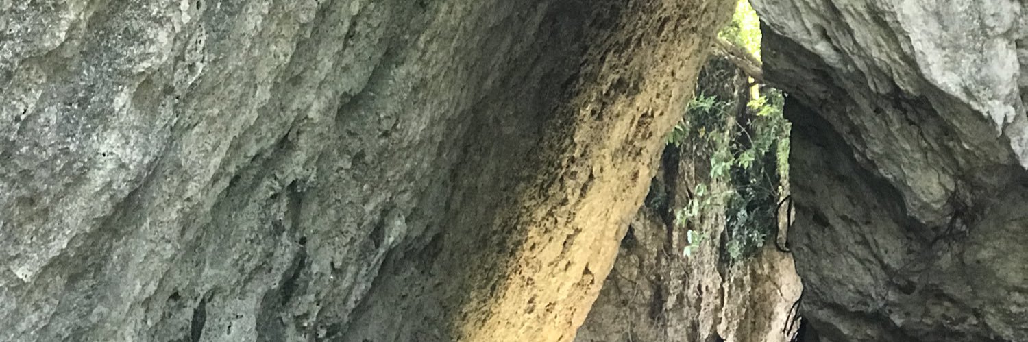 DARKCHOCOREAL's profile banner image