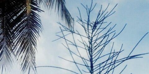 ay_usri's profile banner image