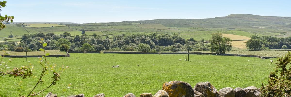 Ingleby_Lodge's profile banner image