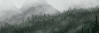 NimaTenebris's profile banner image
