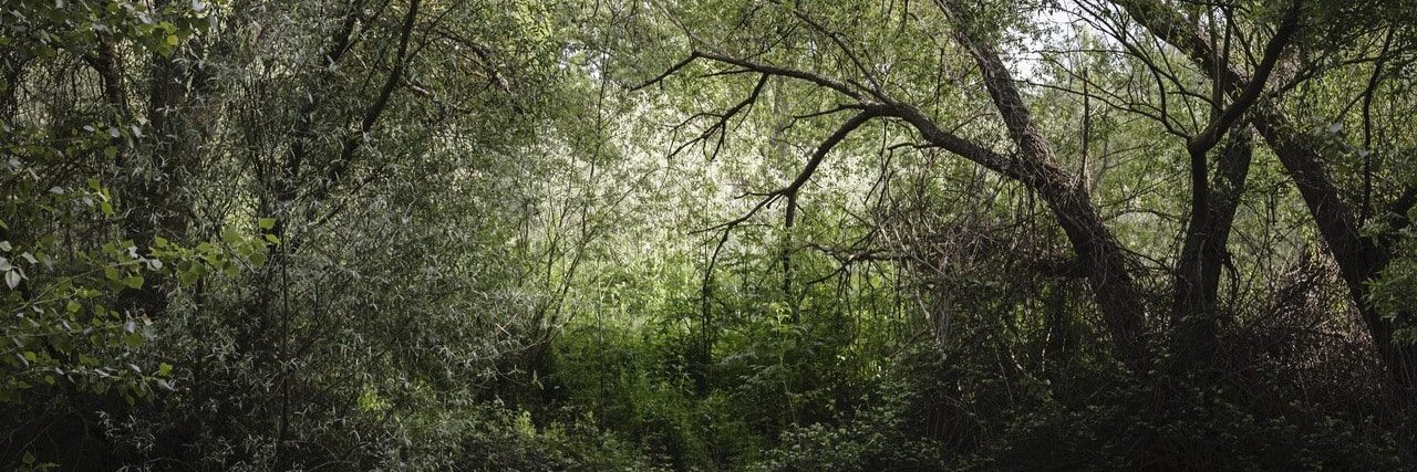 MarcosUrbefoto's profile banner image