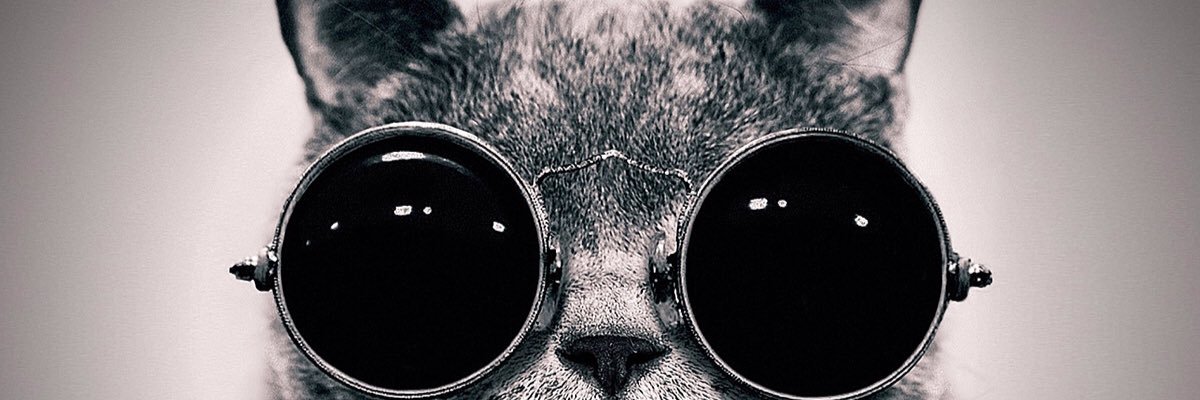 SBorthwick36's profile banner image