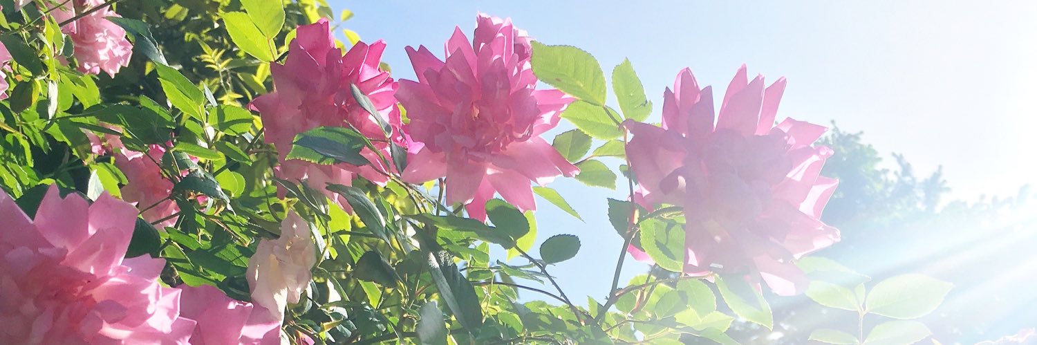 _hdigabtt_'s profile banner image