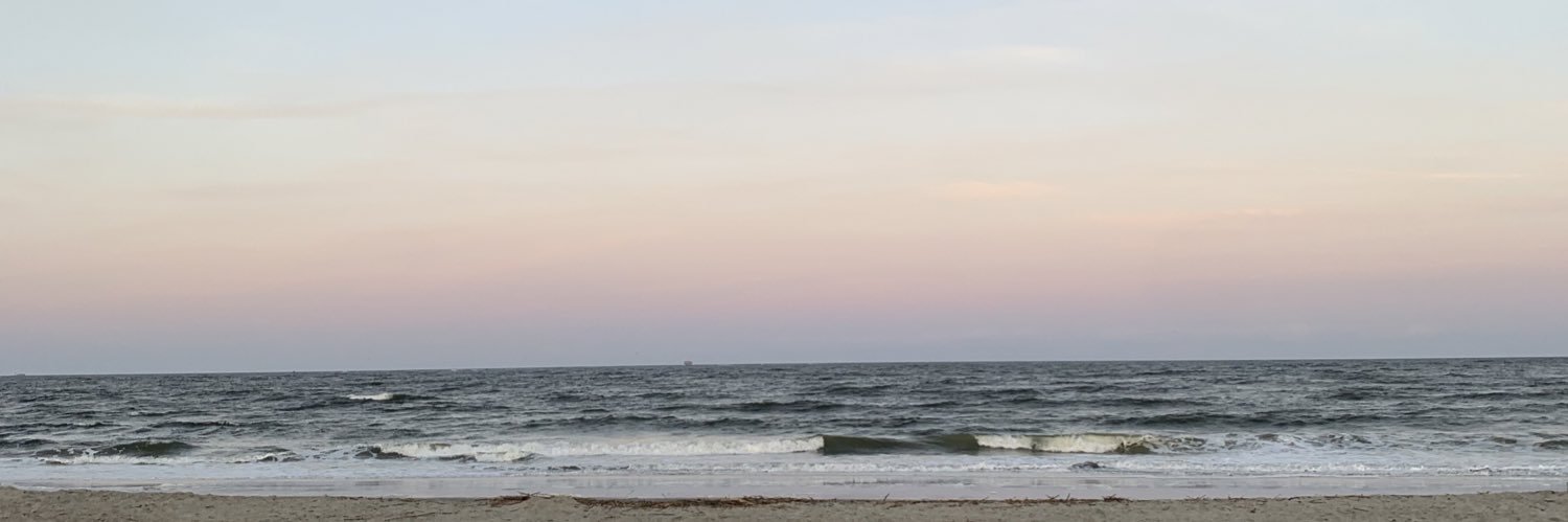 haleygrayso's profile banner image