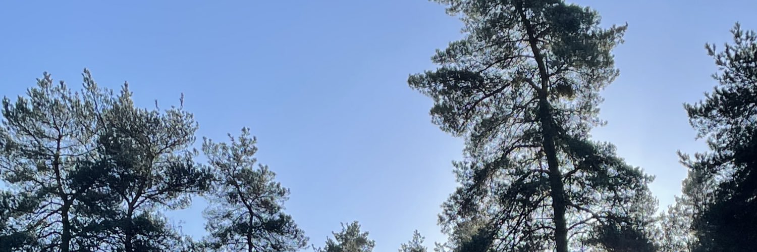 Sir David Carter banner