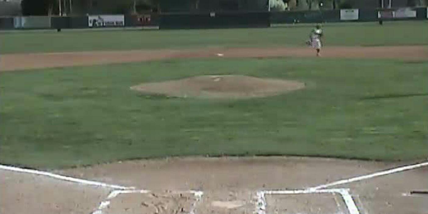 Boise Baseball banner